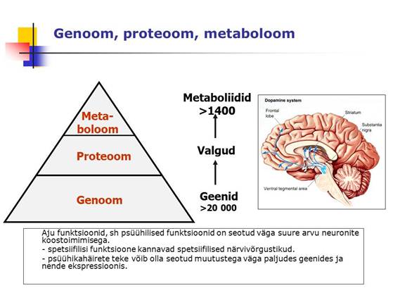 genoom-metaboloom