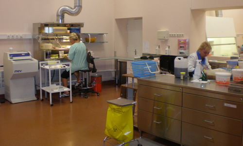 Patoloogiateenistuse laboriruumid L. Puusepa 8 B-korpuse II korrusel. Tegutsevad laborandid Heli Juuriste (vasakul) ja Urve Kuusik (paremal). Foto: Merili Väljaotsa.